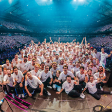 Die Hamburger Goldkehlchen