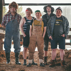 Steve ´N´ Seagulls